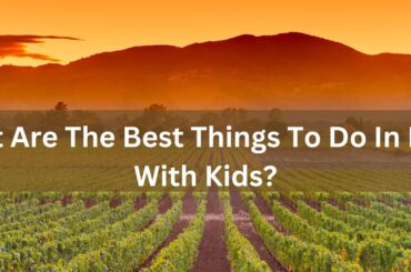 What Are The Best Things To Do In Napa With Kids? things to do in Napa with kids