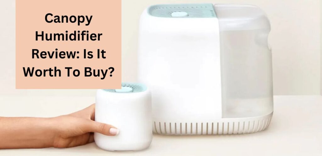 Canopy Humidifier Reviews: Is It Worth To Buy? canopy humidifier reviews