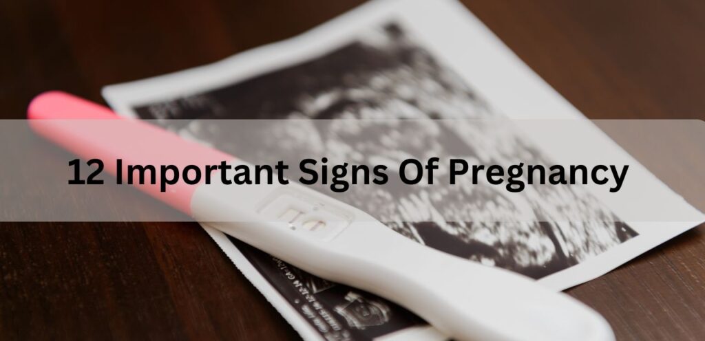 12 Important Signs Of Pregnancy Important Signs of Pregnancy