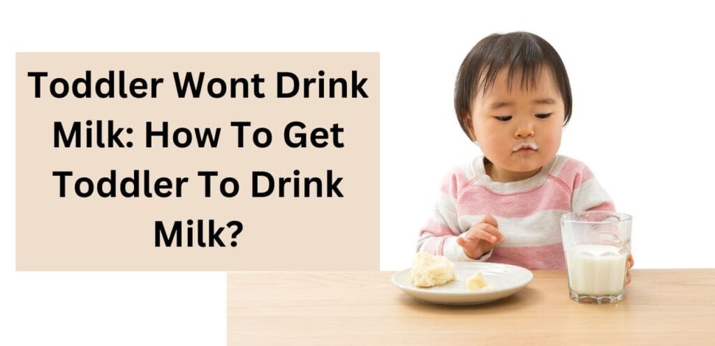 Toddler Wont Drink Milk: Best Tips To Get Toddler To Drink Milk? Toddler wont drink milk