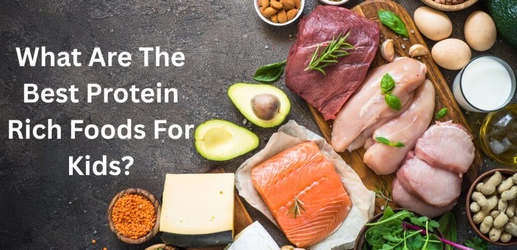 What Are The Best Protein Rich Foods For Kids? Protein rich food