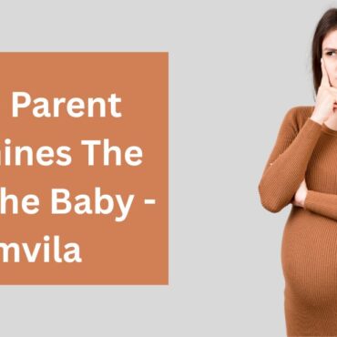 Which Parent Determines The Sex Of The Baby